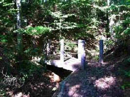 115 Shady Retreat Trail