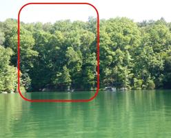 Lot 108 Peninsula Pointe Trail Tree Drive