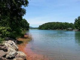 206 Shore Vista Trail