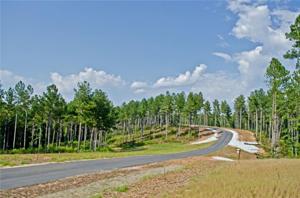 Lot 51 Cove Harbor Drive