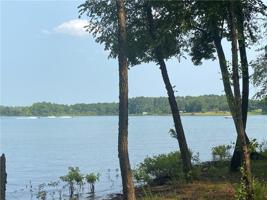 0 Pointe Sidney Drive Lot 13
