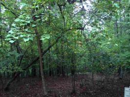 00 Cold Water Drive Lot F 88