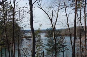 Lot 31 Squirrel Point