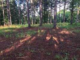 Lot 10 Forest Manor