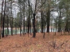 0 Lake Pointe Road Lot 5
