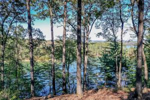 731 Barberry Court