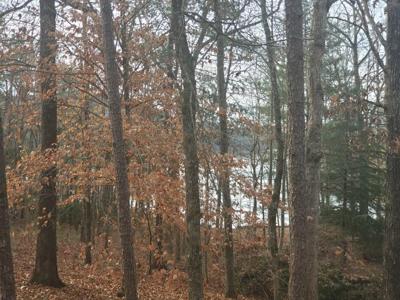 Lot 46 Princess Tree Way