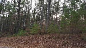 101 Dutchmans Pipe Trail