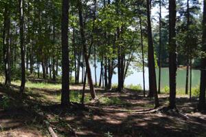 10 Palmetto Pointe Drive
