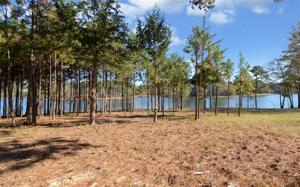 0 Rigby Lot 5 Road Lot 5