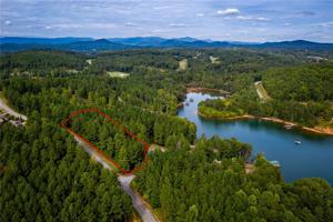 447 Spring Cove Way