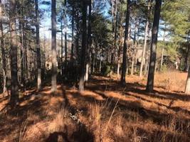 324 Knollwood Drive