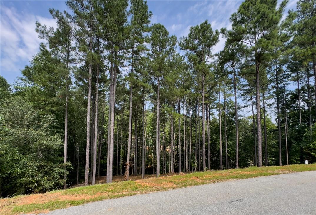 Image 3: Mature, tall trees provide a private, wooded backd