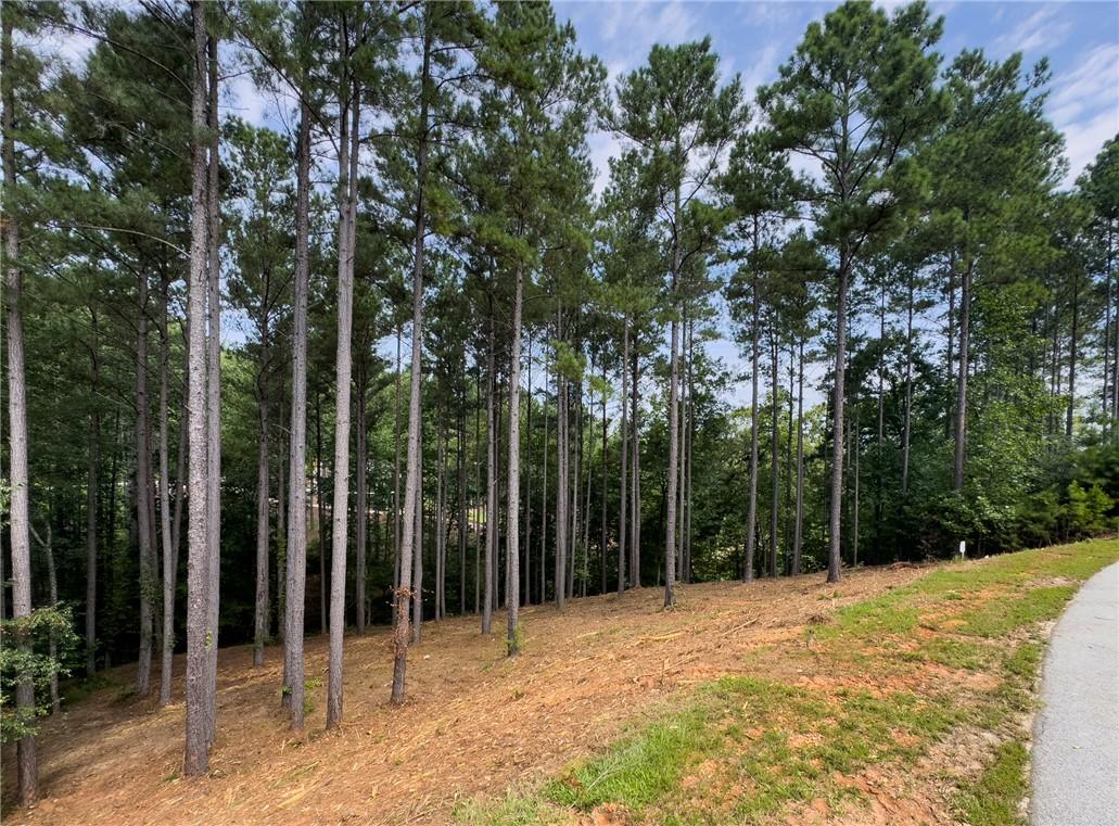 Image 4: Mature trees define the borders of this serene, bu