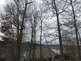 503 Viewpointe Court