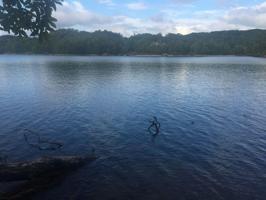 501 Windsong Trail