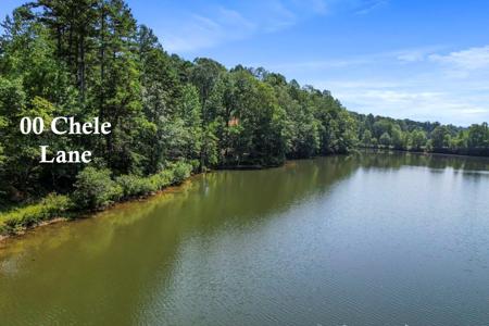 00 Chele Lane Lot 1