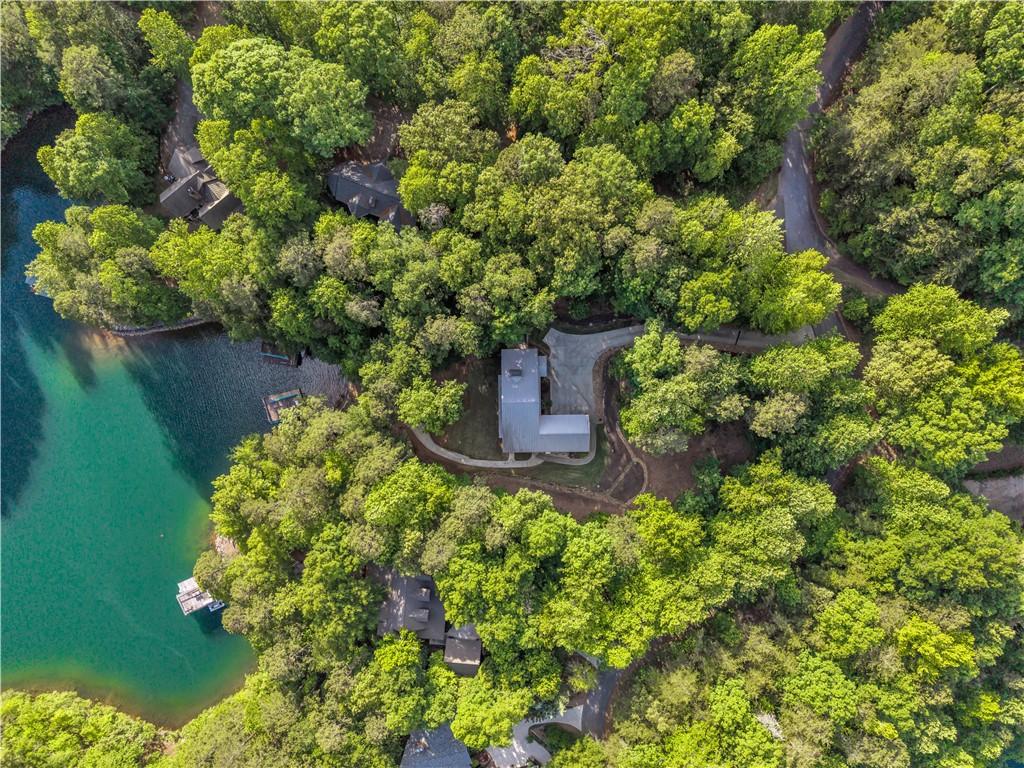 Image 3: Perched amidst lush greenery, this lakeside proper
