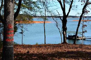 000 Reed Creek Highway Lot 6