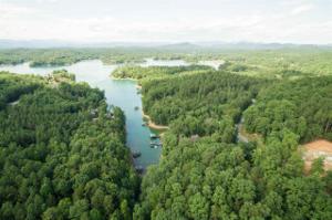 132 Big Creek Trail
