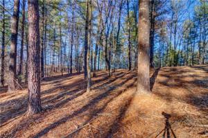 Lot 21 Vineyard Park