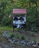 .95 acre Lot 15 Lake Forest Drive