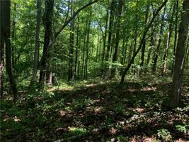161 W Waters Edge Lane