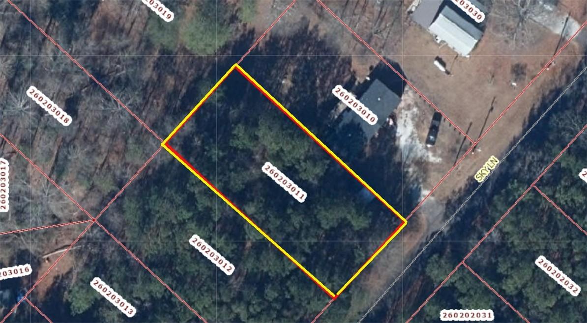 Image 2: This aerial view showcases a meticulously outlined