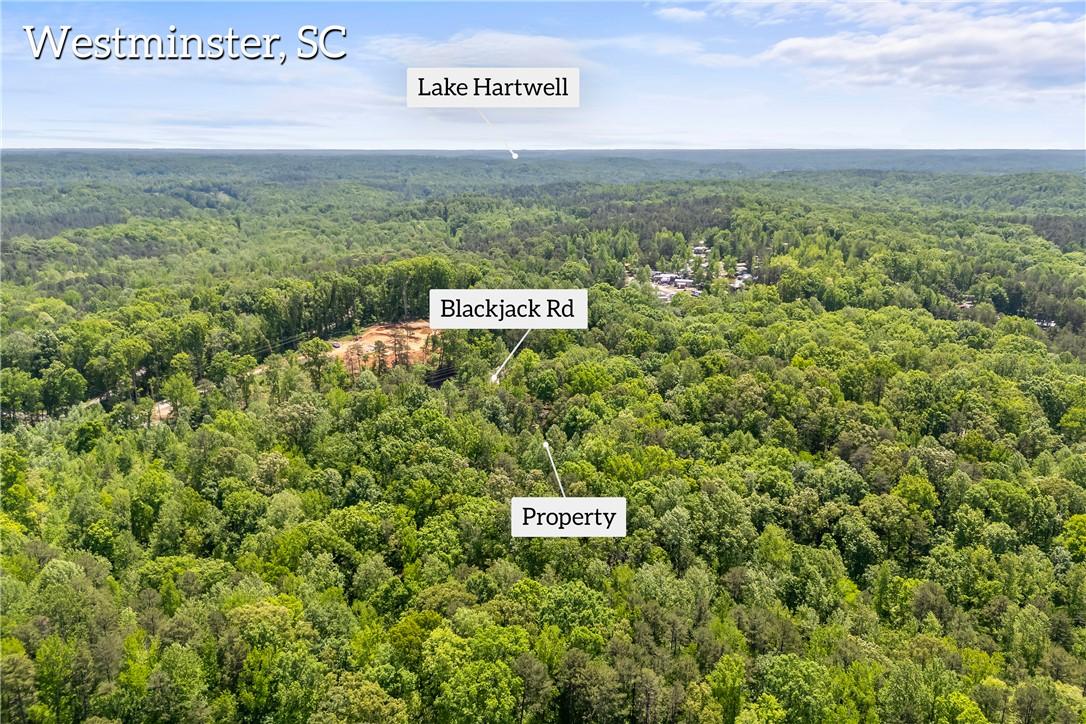 Image 2: Aerial view of 
property.