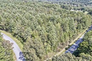 VP46 Princess Tree Way