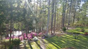 113 Cane Creek Harbor Road
