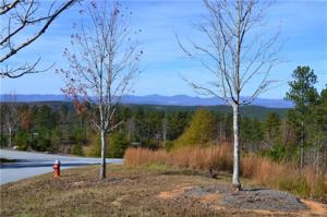 Lot 117 Piney Woods Trail