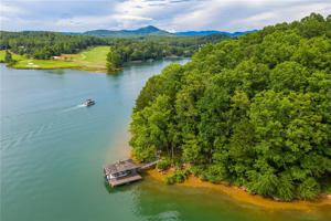 435 Pileated Woodpecker Lane