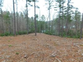Lot 16 Old Chapman Bridge Road
