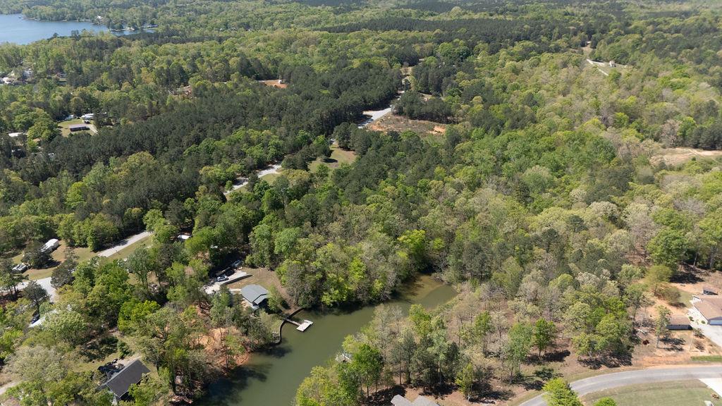 Image 3: This serene aerial view captures expansive wooded