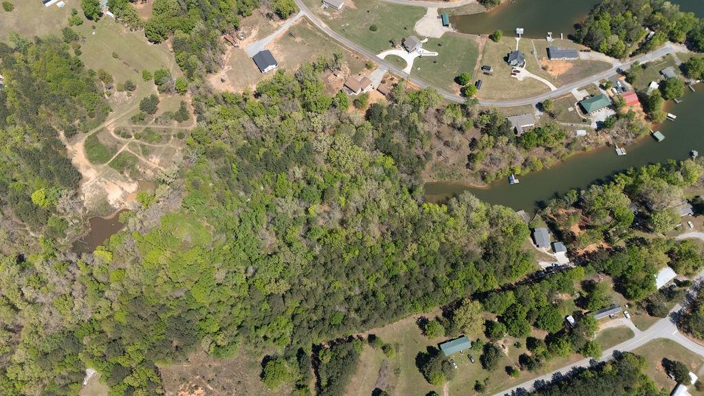 Image 4: This aerial view showcases a vibrant green landsca