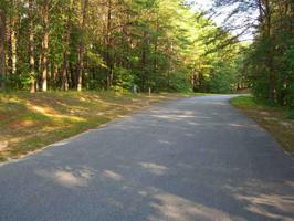 509 Vineyard Park