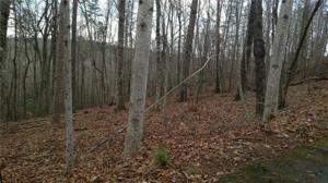 134 Summit Pine Drive