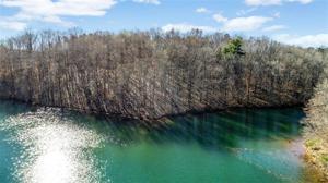 55+/- acres Knollwood Drive