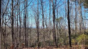 329 Long Cove Trail