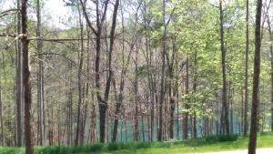 Lot 47B Retreat Pointe