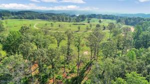 22+/- acres Sweetwater Club Road