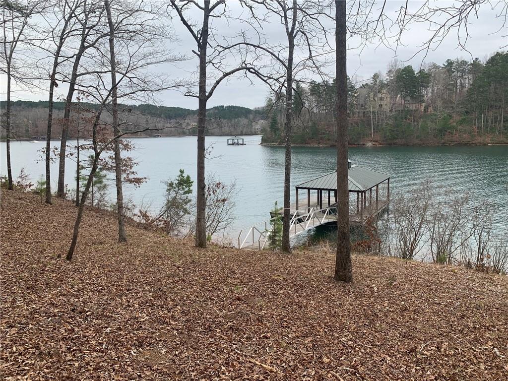 640 Pine Harbor Way, Salem, SC lhrmls00922642