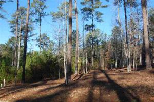 Lot 49 Ridge Top Lane