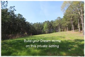 Lot 271 Waterside Crossing Court