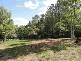 332 Golden Bear Drive