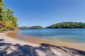 230 Jasmine Point