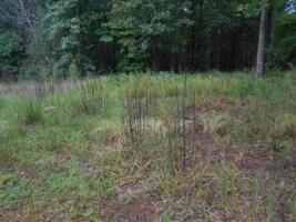 Lot 5A Crooked Trace Lane