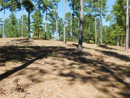 Lot 20 Old Chapman Bridge Road