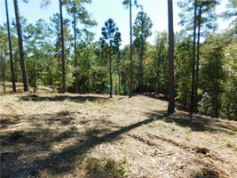 Lot 23 Old Chapman Bridge Road